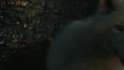 extant_GameOfThrones_4x09-TheWatchersOnTheWall_4186