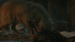 extant_GameOfThrones_4x09-TheWatchersOnTheWall_4206