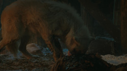extant_GameOfThrones_4x09-TheWatchersOnTheWall_4207