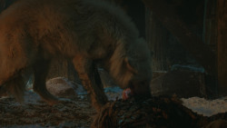 extant_GameOfThrones_4x09-TheWatchersOnTheWall_4208
