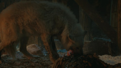 extant_GameOfThrones_4x09-TheWatchersOnTheWall_4209