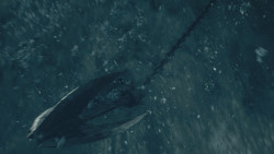 extant_GameOfThrones_4x09-TheWatchersOnTheWall_4589