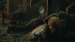 extant_GameOfThrones_4x09-TheWatchersOnTheWall_4663