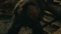 extant_GameOfThrones_4x09-TheWatchersOnTheWall_4664