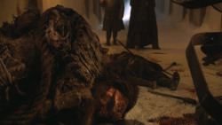 extant_GameOfThrones_4x09-TheWatchersOnTheWall_4986