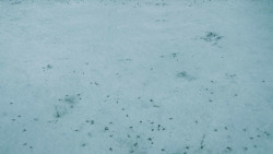 extant_GameOfThrones_4x10-TheChildren_0062
