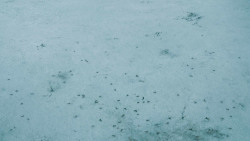 extant_GameOfThrones_4x10-TheChildren_0063