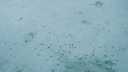 extant_GameOfThrones_4x10-TheChildren_0064