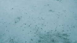 extant_GameOfThrones_4x10-TheChildren_0066