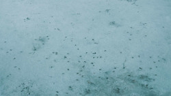 extant_GameOfThrones_4x10-TheChildren_0067