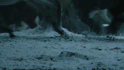 extant_GameOfThrones_4x10-TheChildren_0805