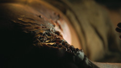 extant_GameOfThrones_4x10-TheChildren_1221