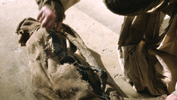 extant_GameOfThrones_4x10-TheChildren_2425