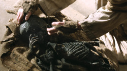 extant_GameOfThrones_4x10-TheChildren_2446