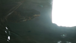 extant_GameOfThrones_4x10-TheChildren_2554