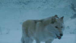 extant_GameOfThrones_4x10-TheChildren_3322
