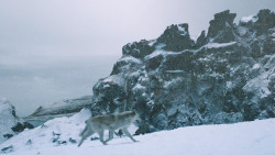 extant_GameOfThrones_4x10-TheChildren_3492