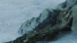 extant_GameOfThrones_4x10-TheChildren_3539