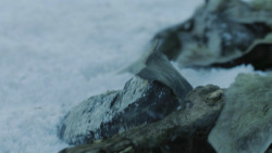 extant_GameOfThrones_4x10-TheChildren_3541