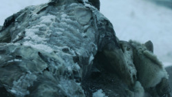 extant_GameOfThrones_4x10-TheChildren_3645