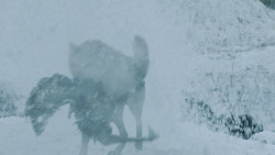 extant_GameOfThrones_4x10-TheChildren_3647