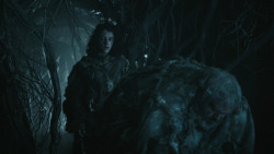 extant_GameOfThrones_4x10-TheChildren_4053