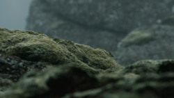 extant_GameOfThrones_4x10-TheChildren_4226