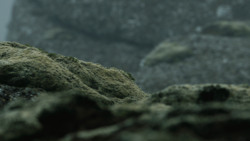 extant_GameOfThrones_4x10-TheChildren_4227