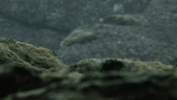 extant_GameOfThrones_4x10-TheChildren_4229