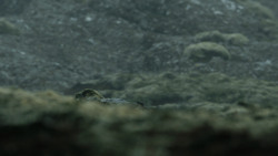 extant_GameOfThrones_4x10-TheChildren_4236