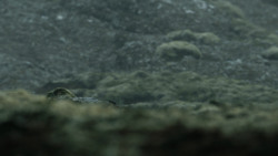 extant_GameOfThrones_4x10-TheChildren_4237