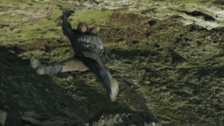 extant_GameOfThrones_4x10-TheChildren_4967