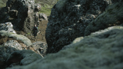 extant_GameOfThrones_4x10-TheChildren_5025