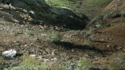 extant_GameOfThrones_4x10-TheChildren_5059