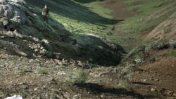 extant_GameOfThrones_4x10-TheChildren_5066