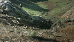 extant_GameOfThrones_4x10-TheChildren_5067