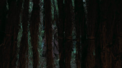 extant_GameOfThrones_5x01-TheWarsToCome_0112
