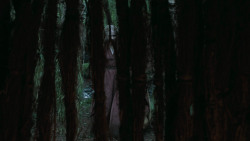 extant_GameOfThrones_5x01-TheWarsToCome_0119