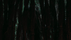 extant_GameOfThrones_5x01-TheWarsToCome_0128