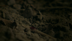 extant_GameOfThrones_5x01-TheWarsToCome_0446