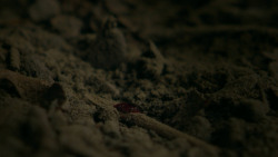 extant_GameOfThrones_5x01-TheWarsToCome_0447