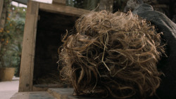 extant_GameOfThrones_5x01-TheWarsToCome_0864