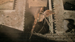 extant_GameOfThrones_5x01-TheWarsToCome_1246