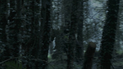 extant_GameOfThrones_5x02-TheHouseOfBlackAndWhite_1123