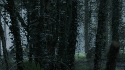 extant_GameOfThrones_5x02-TheHouseOfBlackAndWhite_1124