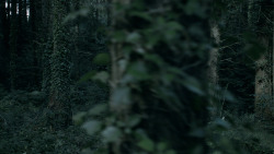 extant_GameOfThrones_5x02-TheHouseOfBlackAndWhite_1154