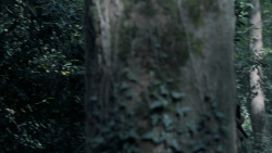 extant_GameOfThrones_5x02-TheHouseOfBlackAndWhite_1241