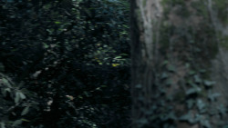 extant_GameOfThrones_5x02-TheHouseOfBlackAndWhite_1242
