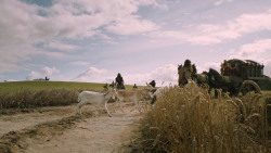 extant_GameOfThrones_5x02-TheHouseOfBlackAndWhite_2750