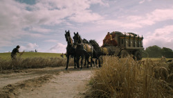 extant_GameOfThrones_5x02-TheHouseOfBlackAndWhite_2756